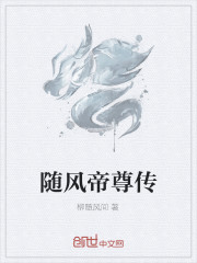随风帝尊传