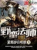 野蛮法师